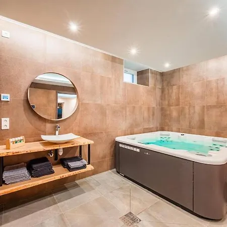 Logement-sauna-spa-strasbourg-colmar-europa Park *